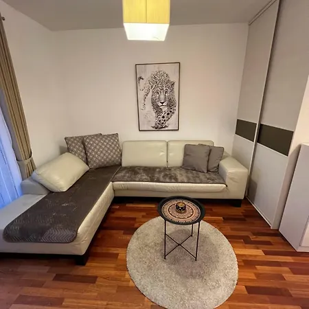 Comfortable And Hygienic Suetuedyo